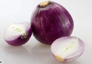 石家庄洋葱最新爆料