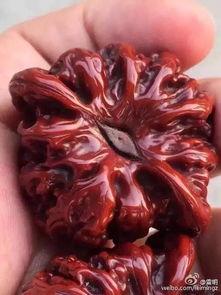 包浆爆料视频大全最新版,最新版带你领略收藏界魅力瞬间